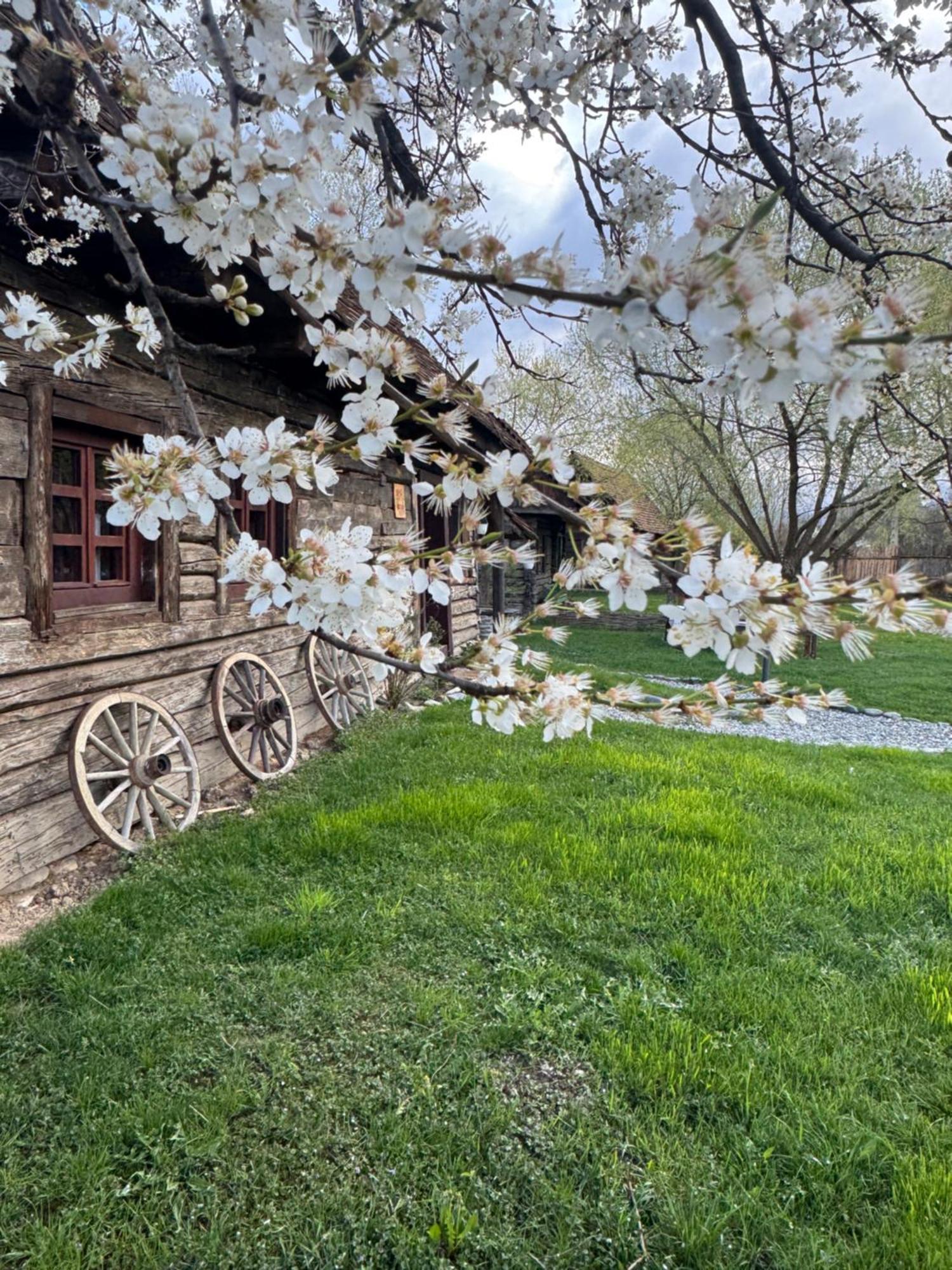 Oberwood Villa